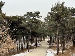 -北京西山国家森林公园