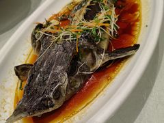 -松针蔡记蒸饺(花园路店)
