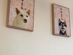 -柴の食堂·日式家庭料理·熊之肆(大学路店)