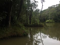 -热带雨林自然公园