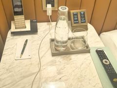 -新加坡文华东方酒店