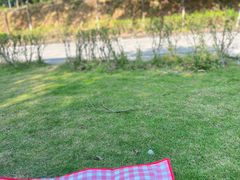 -清溪森林公园