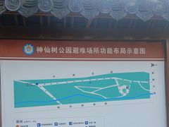 -神仙树公园
