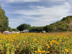 -紫海香堤香草艺术庄园
