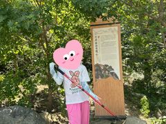 -北京鹫峰国家森林公园