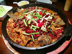 -老板恋上鱼(高新万达店)