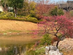 -雅达·阳羡溪山小镇中心