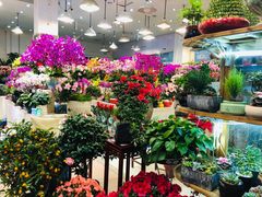 -双季花艺园艺市场(浦东店)