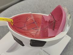 -武汉大学附属爱尔眼科医院(湖北总院)