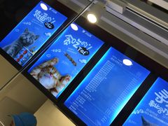-开心猫无锡三阳广场店