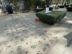 -翠湖公园
