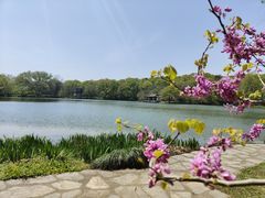 -紫霞湖公园