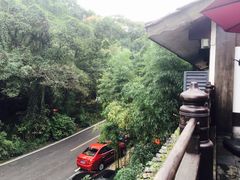 -龙井壹号·茶缘山景宴(龙井村店)