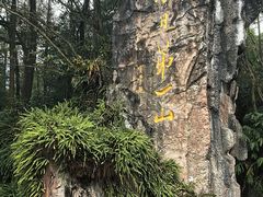-峨眉山报国寺