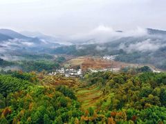 -塔川景区