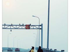 -星海湾跨海大桥
