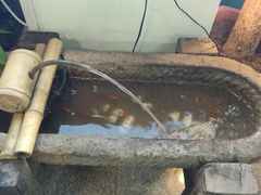 -金家休闲餐吧(金家小吃四店)