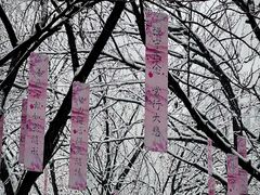 -西安大兴善寺