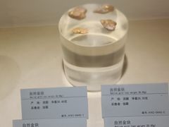 -河南自然博物馆