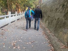 -紫金山山顶公园
