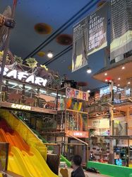 -卡通尼·Safari非洲探索乐园·生日会(金桥国际商业广场店)