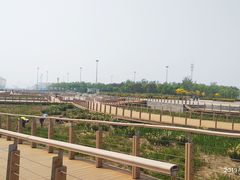 -东疆建设开发纪念公园