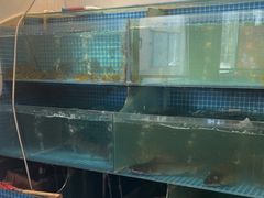 -大鹅岛灶台鱼·铁锅炖(水库路店)