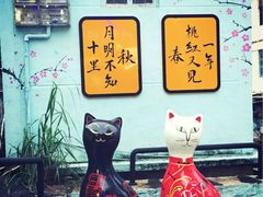 -猫咪博物馆(顶澳仔猫街店)