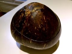 -志龙皇冠吃货椰子铺
