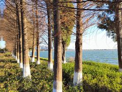 -滇池海埂公园