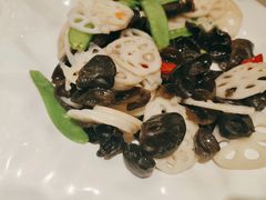 -紫光园(顺义店)