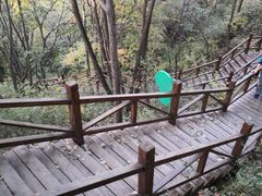 -大岭沟猕猴桃谷风景区