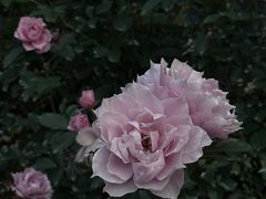 -人民公园(罗湖区)