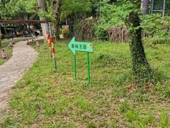 -紫金山山顶公园