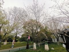 -堤角公园