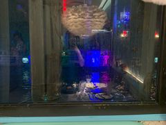 景观位-蜜桃花开·中西融合菜E&W(南长街店)