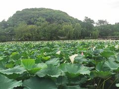 -石湖景区
