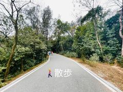 -广州市白云山风景名胜区