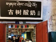 -古树酸奶(八廓南街店)