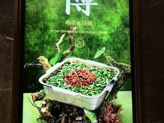 -龙森园火锅(琴台路店)