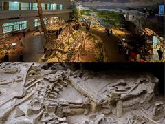 -自贡恐龙博物馆