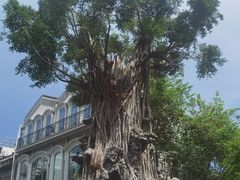 -荔湾博物馆