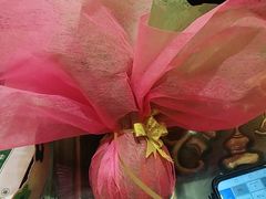 -紫光园(顺义店)