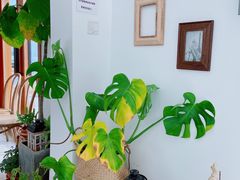 -AHAVA·Fang Baking Studio