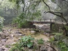-少华山国家森林公园