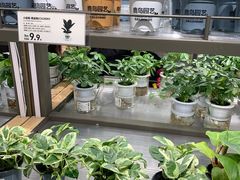 -鹿岛生活(熙地港店)