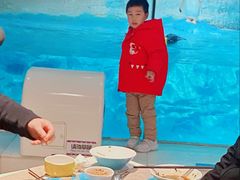 -帝企鹅自助餐厅•儿童岛•真企鹅(长隆企鹅酒店)