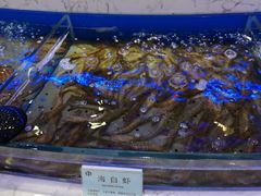-澜悦港海鲜体验主题餐厅