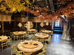 -老凯俚酸汤鱼(多彩城店)
