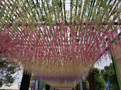 -厦门方特梦幻王国